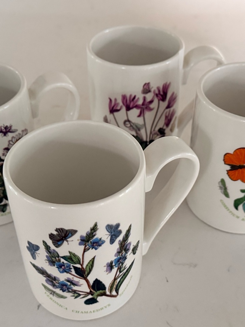 Portmeirion White Ceramic Botanic Gardens set of 4 coffee Mugs
